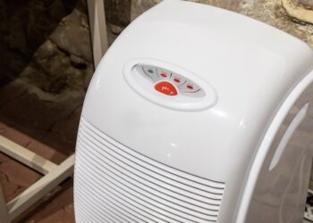 Basement Moisture Control Preventing Water Damage CO